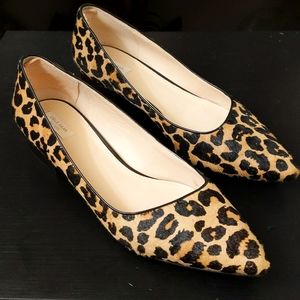Cole Haan Pointy Toe Leopard Flat
